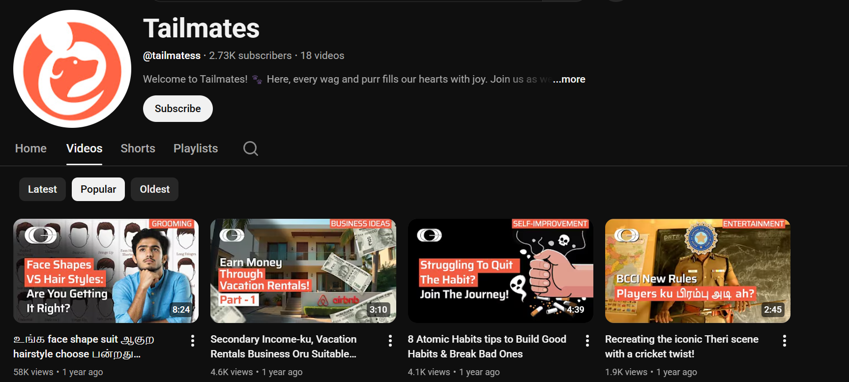 Tailmates YouTube channel growth managed by Growth – SMO and Google Ads Chennai